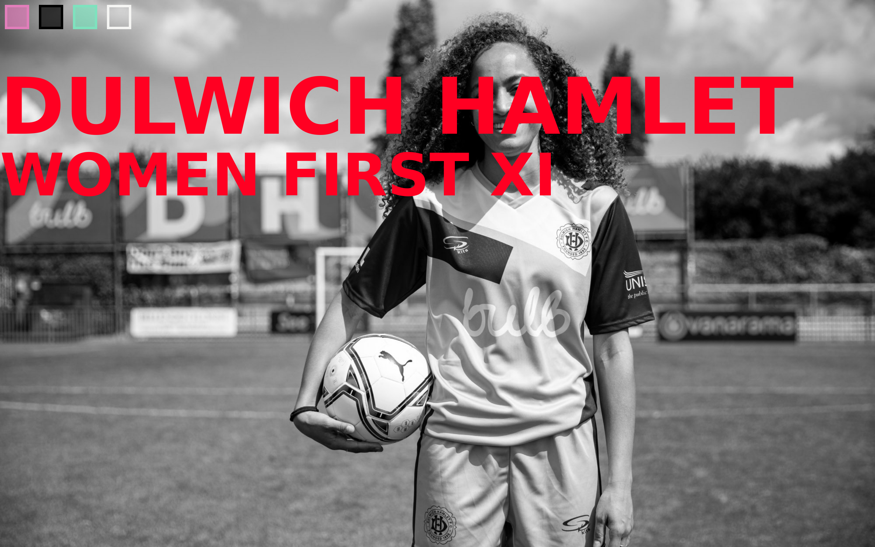 screenshot of Dulwich Hamlet FC fanpage